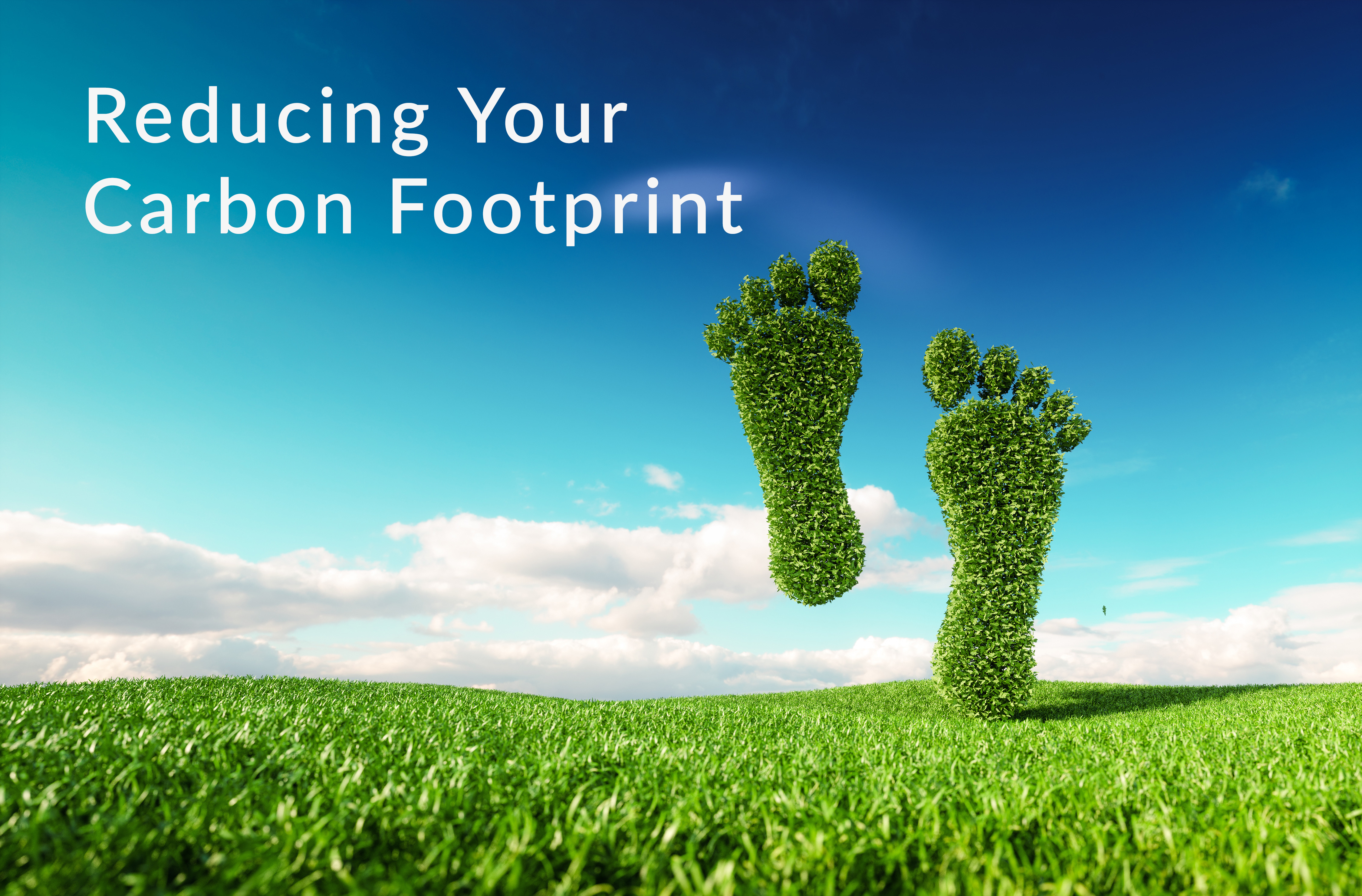 3 Ways to Reduce Your Carbon Footprint and the Benefits